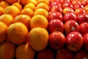 ۲۵۰ تن میوه تنظیم بازاری شب عید در زنجان توزیع می‌شود