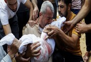 صحة غزة: استشهاد اکثر من 24 الف فلسطيني جراء العدوان الإسرائيلي