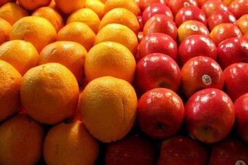 برپایی ۹ مرکز فروش میوه برای ایام پایان سال در شاهرود پیش‌بینی شد