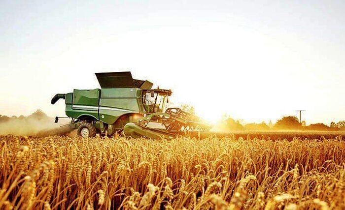 هفت میلیون تن محصول کشاورزی گامی برای تحقق جهش تولید در آذربایجان‌غربی