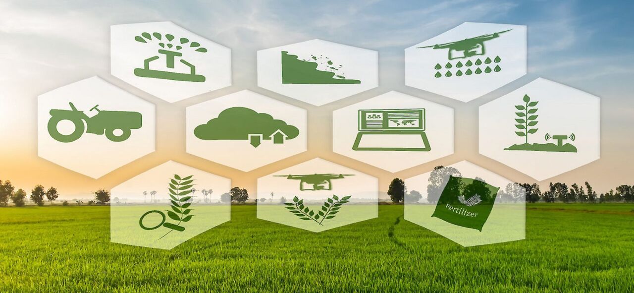 صندوق حمایت از توسعه کشاورزی مراغه و عجبشیر چه نقشی میتواند ایفا کند؟ صندوق حمایت از توسعه کشاورزی مراغه و عجبشیر چه نقشی میتواند ایفا کند؟