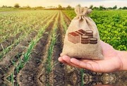 بانک کشاورزی ایلام ۵۲ هزار میلیارد ریال تسهیلات پرداخت کرده است