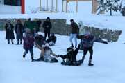 برف، بهانه‌ای برای شادمانی و تفریح مردم اردبیل
