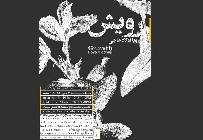 گالریگردی زمستان؛ تماشای «رویش» و «ماهکهای رنگی»