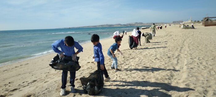 دوستداران محیط زیست، ساحل تخم گذاری لاک پشت های قشم را پاکسازی کردند