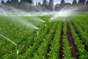 کشاورزان با فراهم سازی بستری مناسب در مصرف بهینه آب گام بردارند