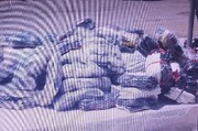 ۸۸ میلیارد ریال کالای قاچاق در لارستان فارس کشف شد
