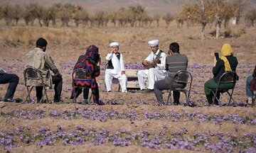 یک شاعر محلی تربت حیدریه: ادبیات عامه بخش مهمی از فرهنگ است که باید حفظ شود