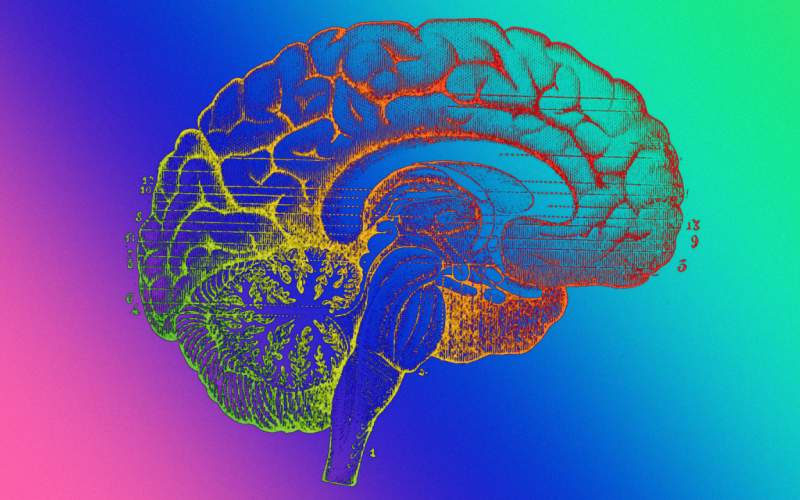 6 عامل تخریبکننده حافظه را بشناسید