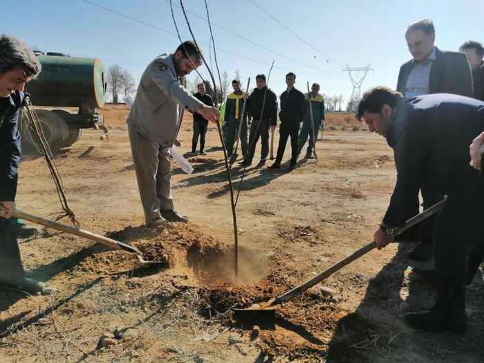 شکارچی حیات وحش در دام محیط بانان نظرآباد