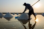 مصرف نمک دریا منجر به ناهنجاری‌های مادرزادی می‌شود