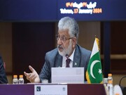 Tehran, Islamabad to develop scientific ties: Official