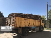 ۱۲ تُن چوب جنگلی قاچاق در نوشهر کشف شد
