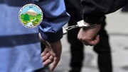 دستگیری  سرکرده باند حرفه ای قاچاقچیان چوب در نور مازندران