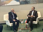 وزيرا خارجية إيران والجزائر يؤكدان على الوقف الفوري لجرائم الحرب الصهيونية ضد الشعب الفلسطيني