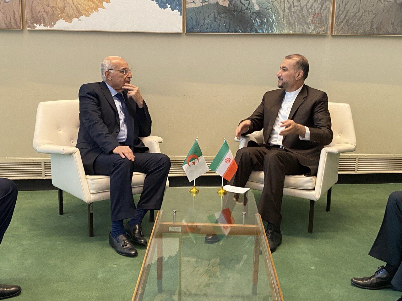 Iran, Algeria FMs confer on latest development in region