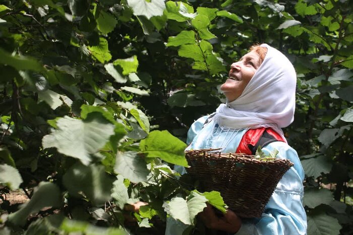 ثبت سه رویداد گردشگری قزوین در تقویم رویدادهای ملی 