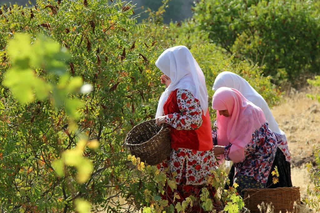 ثبت سه رویداد گردشگری قزوین در تقویم رویدادهای ملی 