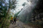 کلمبیا با اعلام وضعیت اضطراری خواستار کمک بین المللی برای مهار آتش سوزی جنگل ها شد