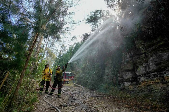 کلمبیا با اعلام وضعیت اضطراری خواستار کمک بین المللی برای مهار آتش سوزی جنگل ها شد