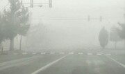 فیلم/ مه گرفتگی شدید پس از باران در یزد