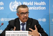 خشم رئیس سازمان بهداشت جهانی از ادعای تل‌آویو