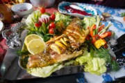 جشنواره طبخ آبزیان و غذاهای دریایی در همدان