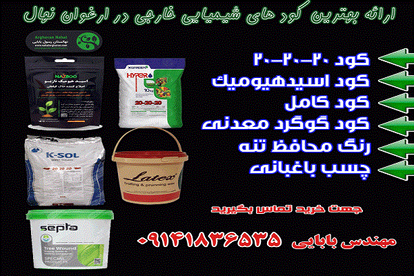 تجارت بدون ریسک با کاشت نهال گردو ژنوتیپ ارغوان تیپ 9