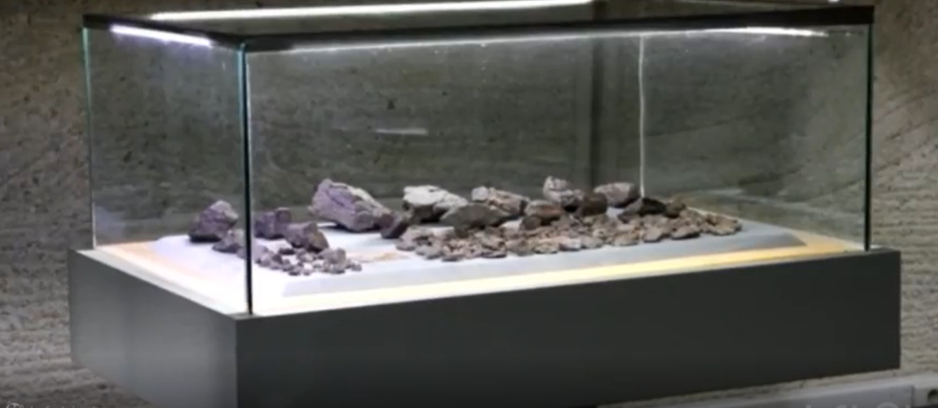 پای مریخی ها به ایران هم باز شد