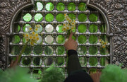 برگزاری آیین‌های لاله‌گردانی و ویژه در سوگ شاهچراغ (ع) شیراز