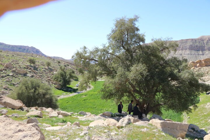 ایلام ۱۶ اثر تاریخی و غیرتاریخی در نوبت بررسی برای ثبت ملی دارد