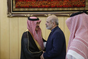 سفیر عربستان در تهران با وزیر کشور دیدار کرد