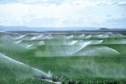 آبیاری هوشمند کشاورزی به‌صورت آزمایشی در ۲۷ استان کشور اجرایی می‌شود
