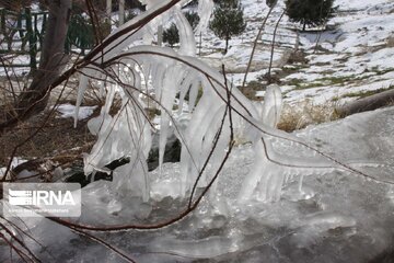 سوز سرما دست‌بردار مازندران نیست