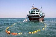 صید ترال باعث توقیف سه فروند شناور در بندر دیلم بوشهر شد