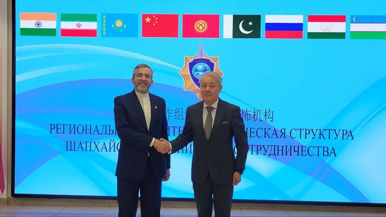 مباحثات المساعد السياسي لوزير الخارجية في أوزبكستان