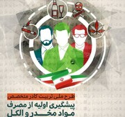 طرح ملی تربیت کادر متخصص پیشگیری از اعتیاد  اجرا می‌شود