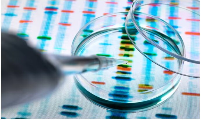 وضعیت فاجعهبار انتشار مقالات تقلبی در تحقیقات علمی جهان