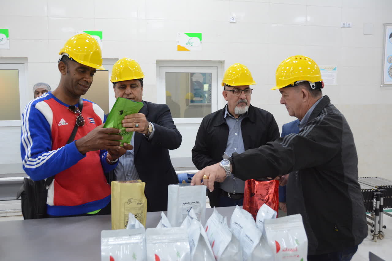 سفری از هاوانا تا اهواز؛ پیوند دو سرزمین در قلب نیشکر سفری از هاوانا تا اهواز؛ پیوند دو سرزمین در قلب نیشکر