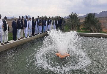 ۵۱ پروژه بخش کشاورزی در مهرستان به بهره‌برداری رسید