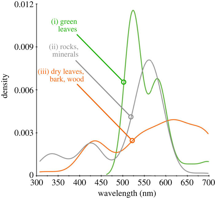 هوش مصنوعی منشاء باستانی رنگ گلها را افشا کرد