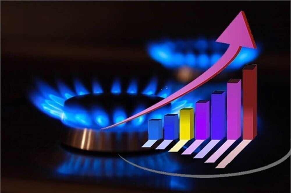 Iran's household, business gas use at 642 mcm/d: Official