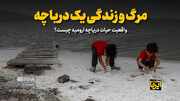 واقعیت حیات دریاچه ارومیه چیست؟