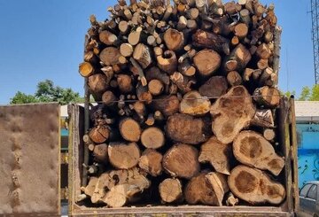 کشف بیش از سه تن چوب قاچاق در شهرستان فردوس
