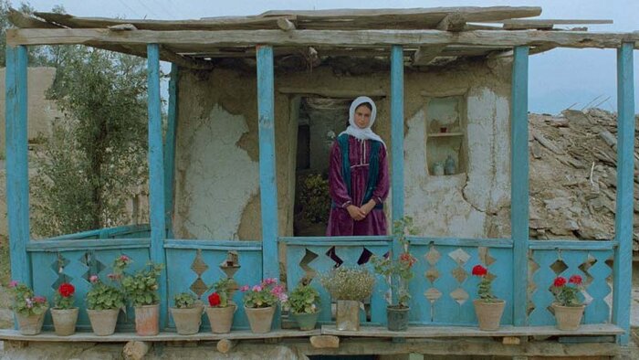 آوار ایدهها و مقاومت سینما/ زلزله «احمد» جشنواره را تکان میدهد؟