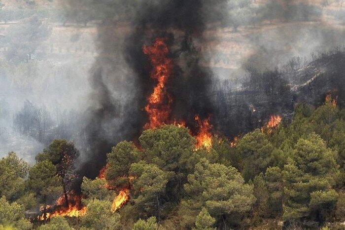 هشدار آتش‌سوزی در عرصه‌های جنگلی مازندران