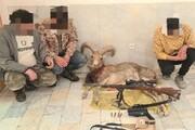 دستگیری شکارچیان غیرمجاز در دماوند 