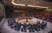 Rusia: la Causa Palestina ha aislado a EEUU en el Consejo de Seguridad