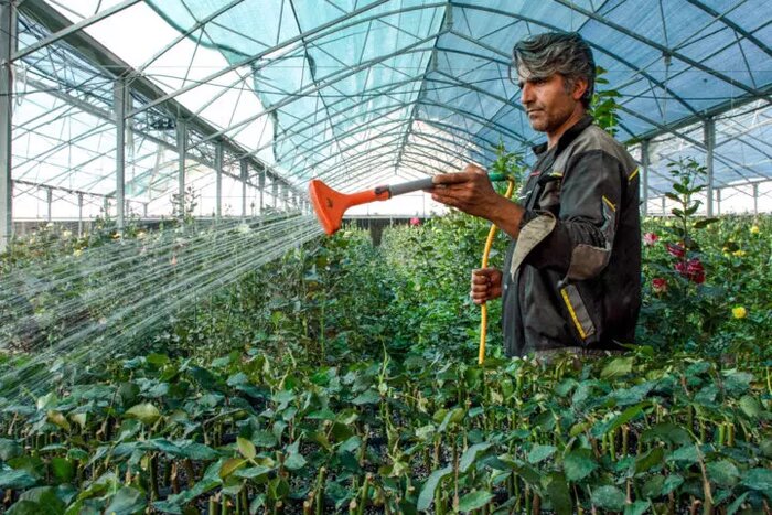 نهضت احداث شهرک گلخانه در مازندران با عزم دولت