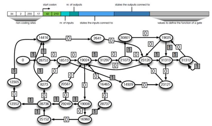 وساطت میان روانشناسی و ژنتیک